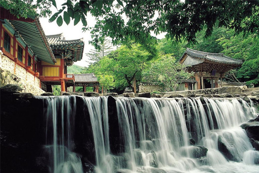 松本古城之旅 上高地赏红叶 奥飞弹泡温泉 高山古色古香二日游 蜜柚旅行miu Tour