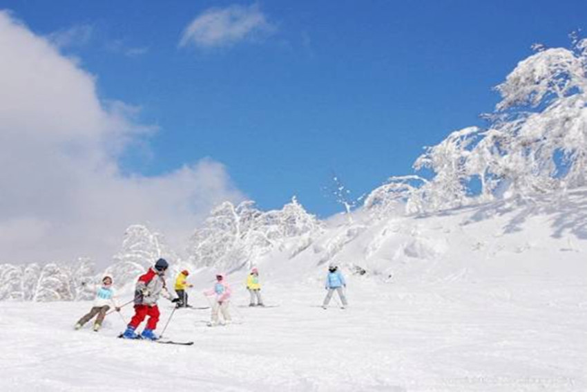 【畅游包车】札幌市区-富良野王子滑雪场单程包车