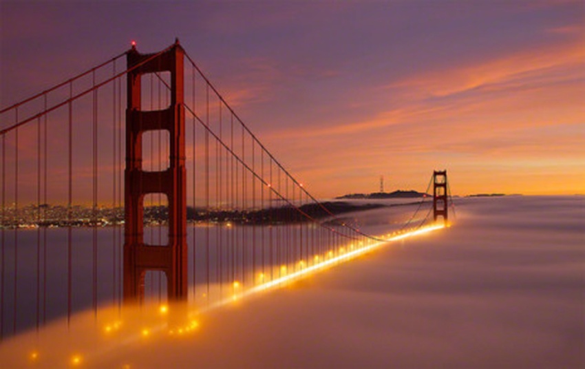 【旧金山一日游】印象旧金山：金门公园+九曲花街+渔人码头+金门大桥