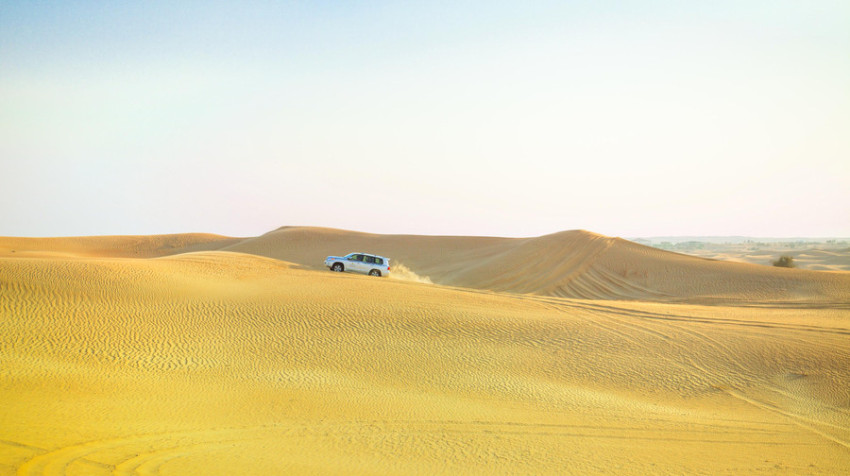 迪拜沙漠保护区