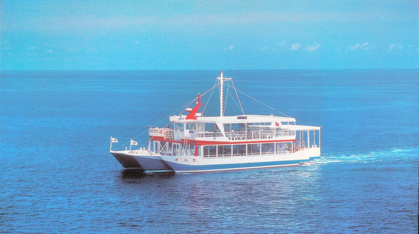 观光船Orca号游览体验